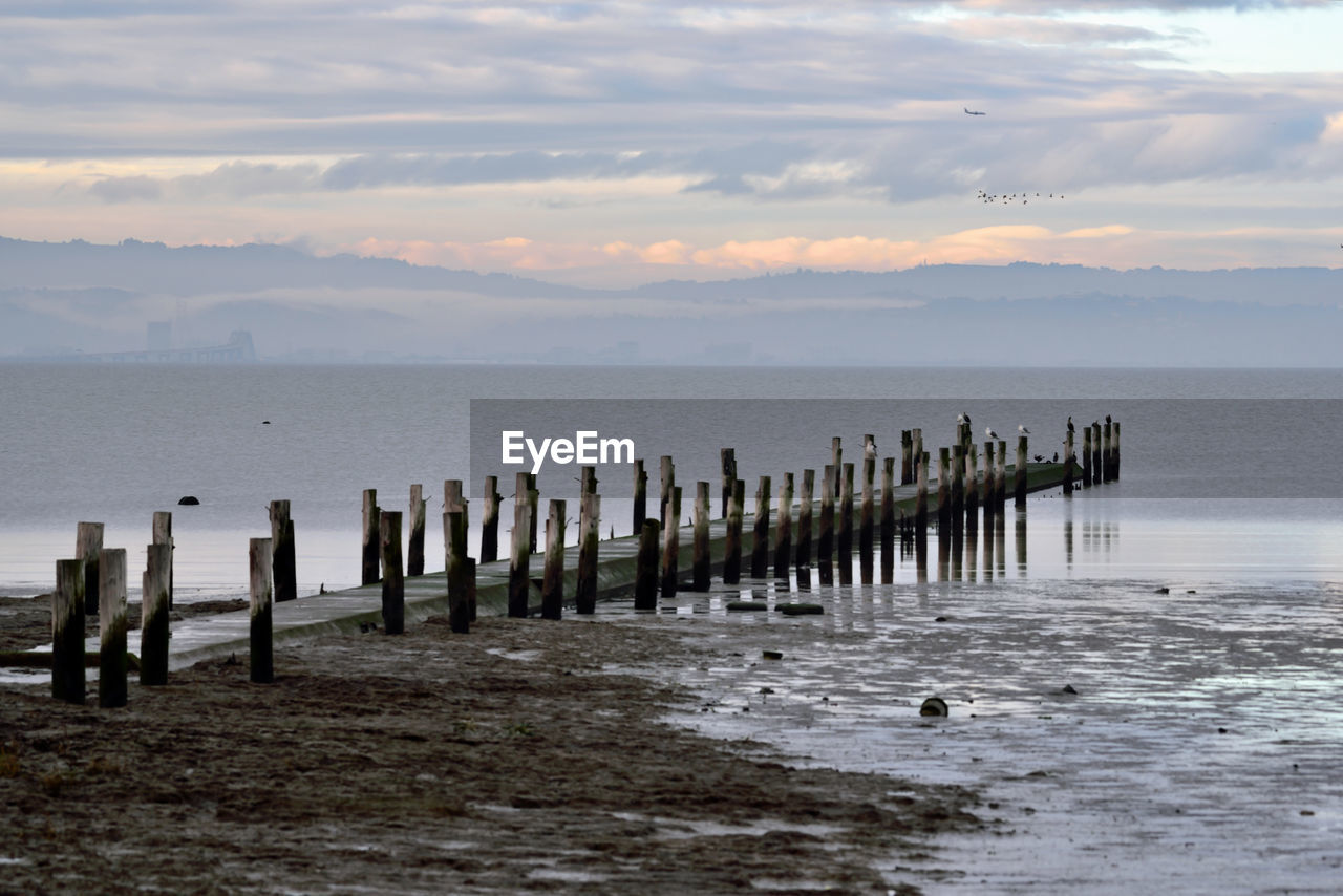 WOODEN POSTS IN SEA AGAINST SKY