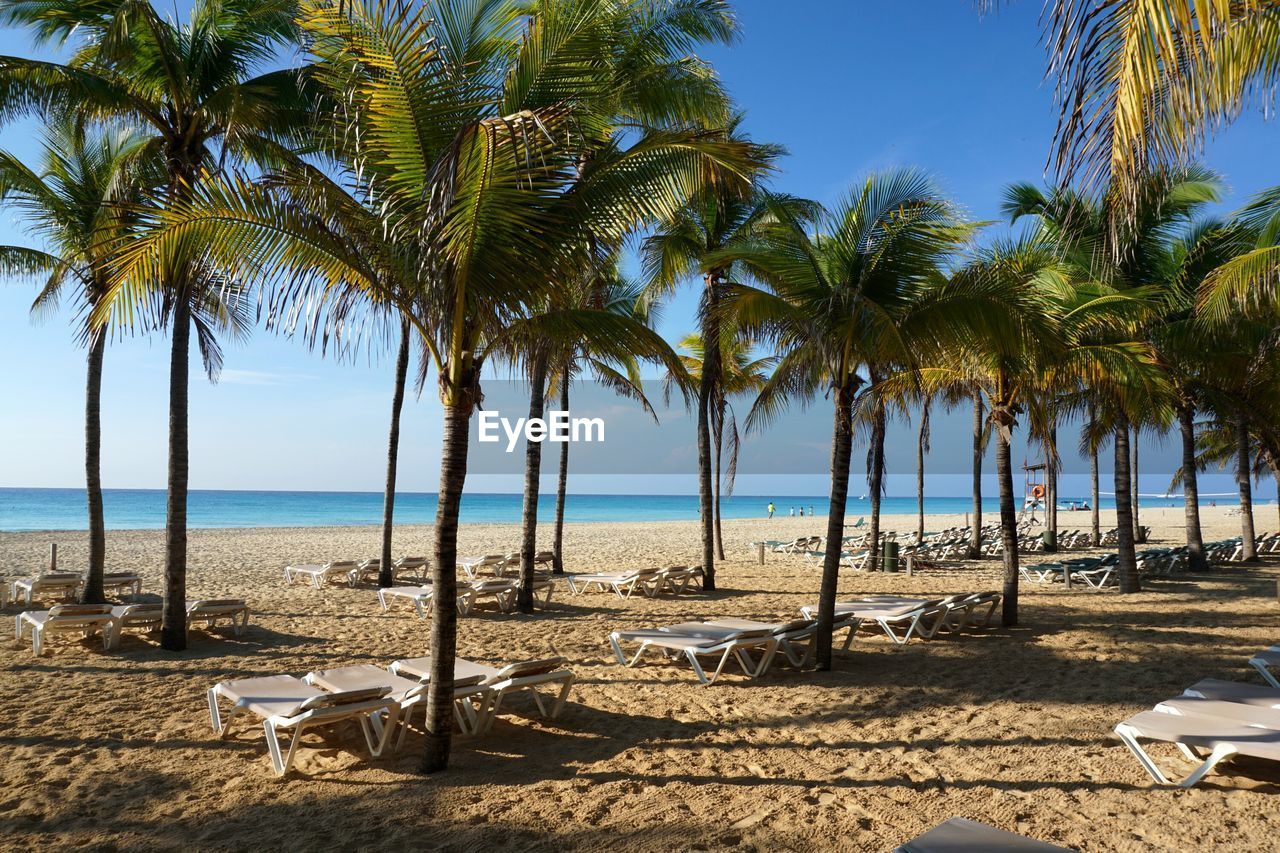 PALM TREES ON BEACH AGAINST SKY