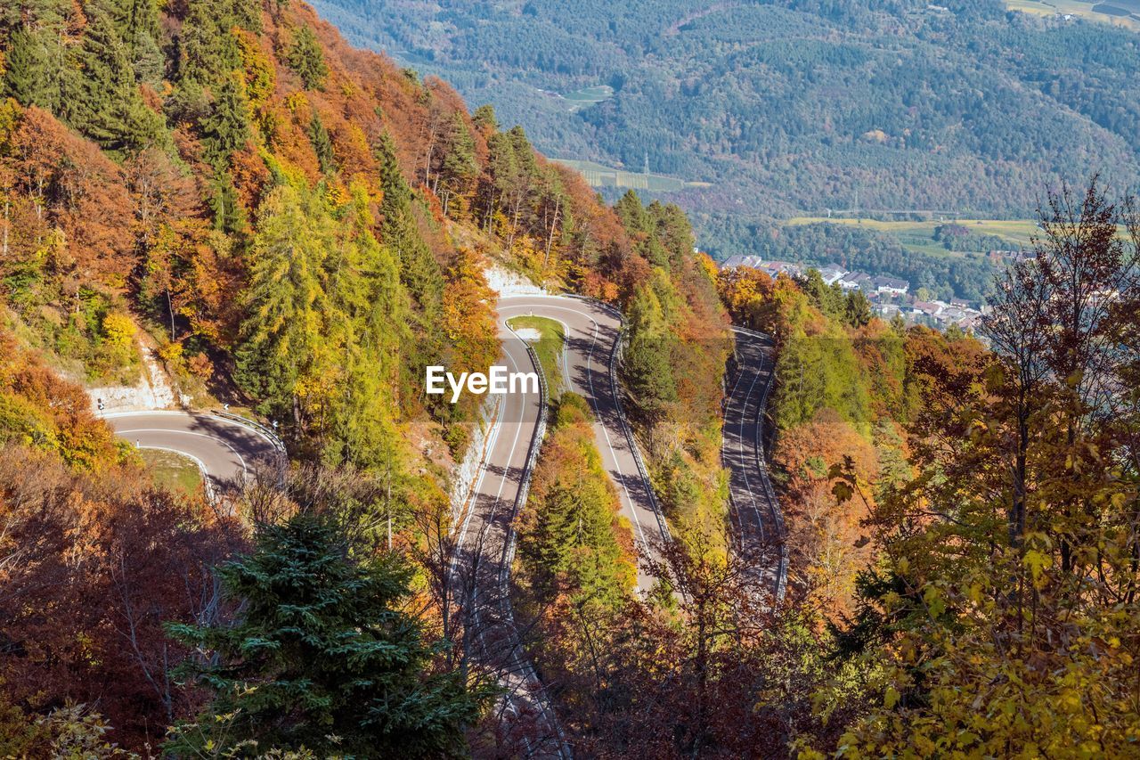 High angle view of trees and road in forest during autumn