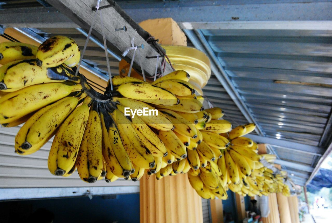 Close-up of bananas hanging on ceiling