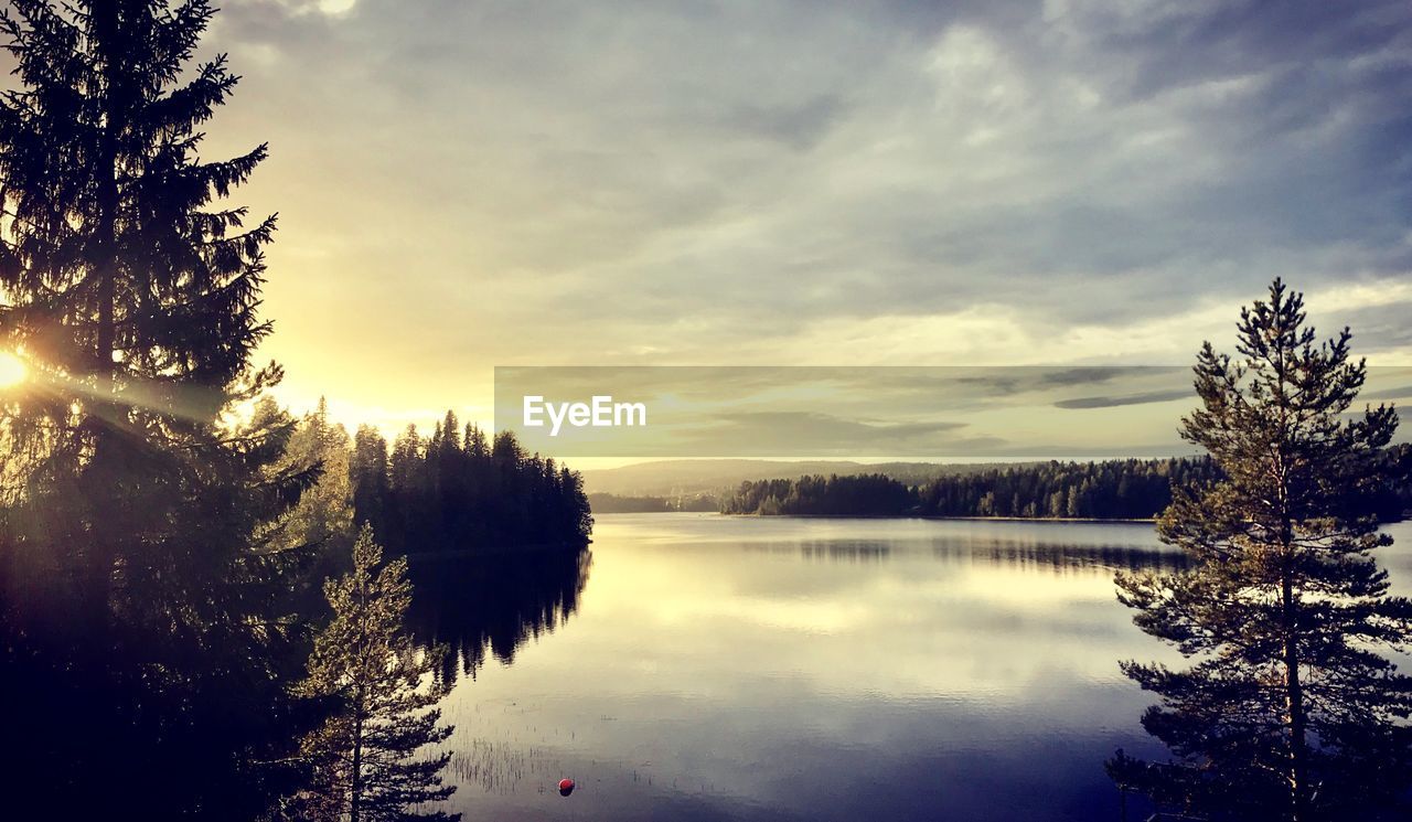 SCENIC VIEW OF LAKE BY TREES AGAINST SKY