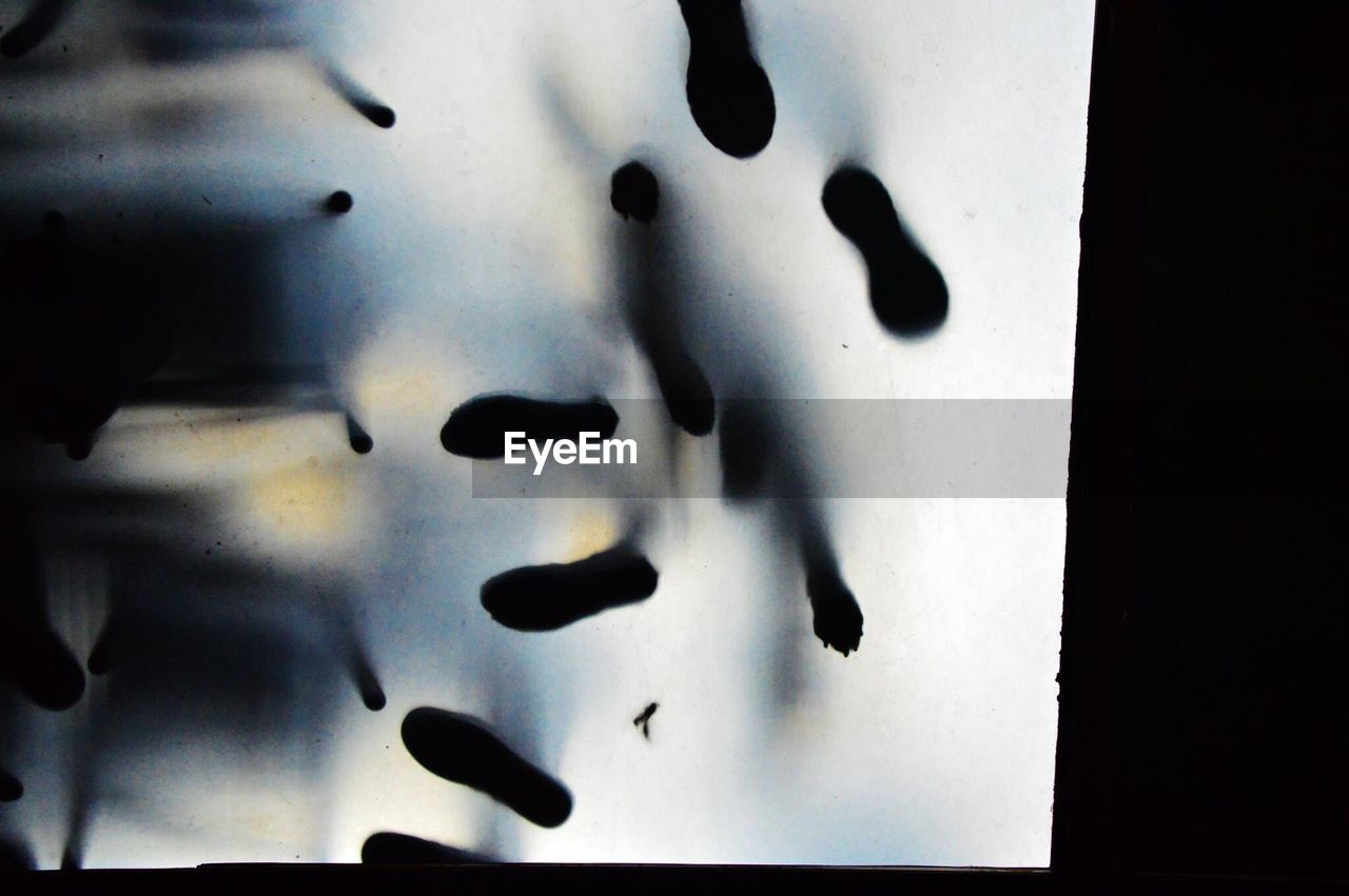 Low angle view of foot shadow on glass