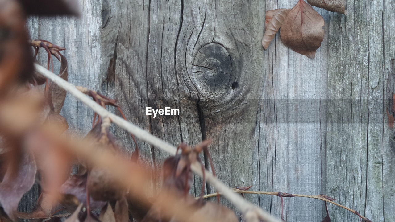 CLOSE-UP OF WOODEN WALL