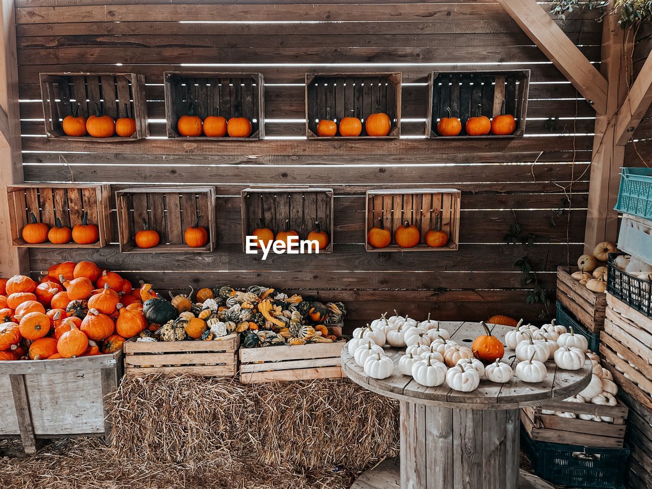 ORANGE FRUITS FOR SALE AT MARKET