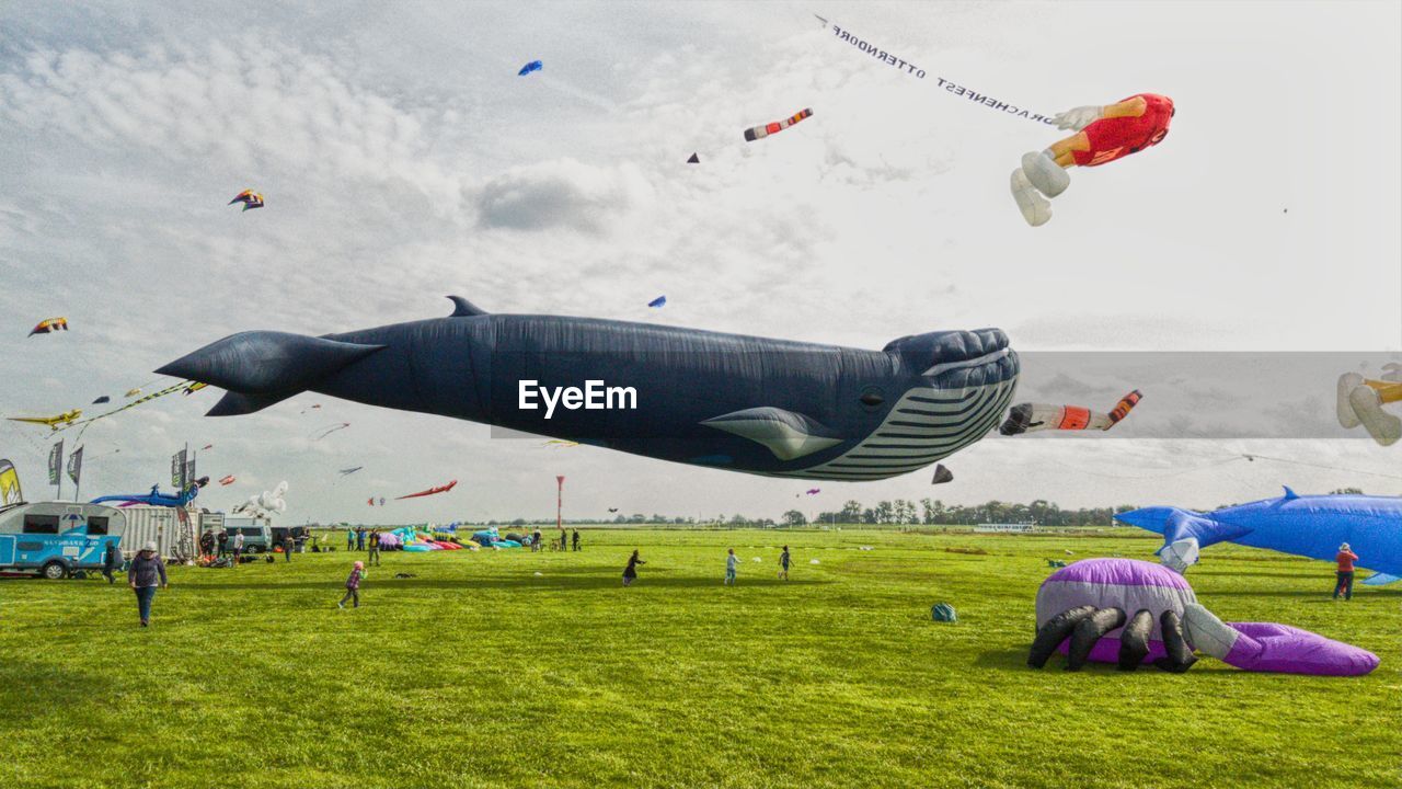 Kites flying over land against sky