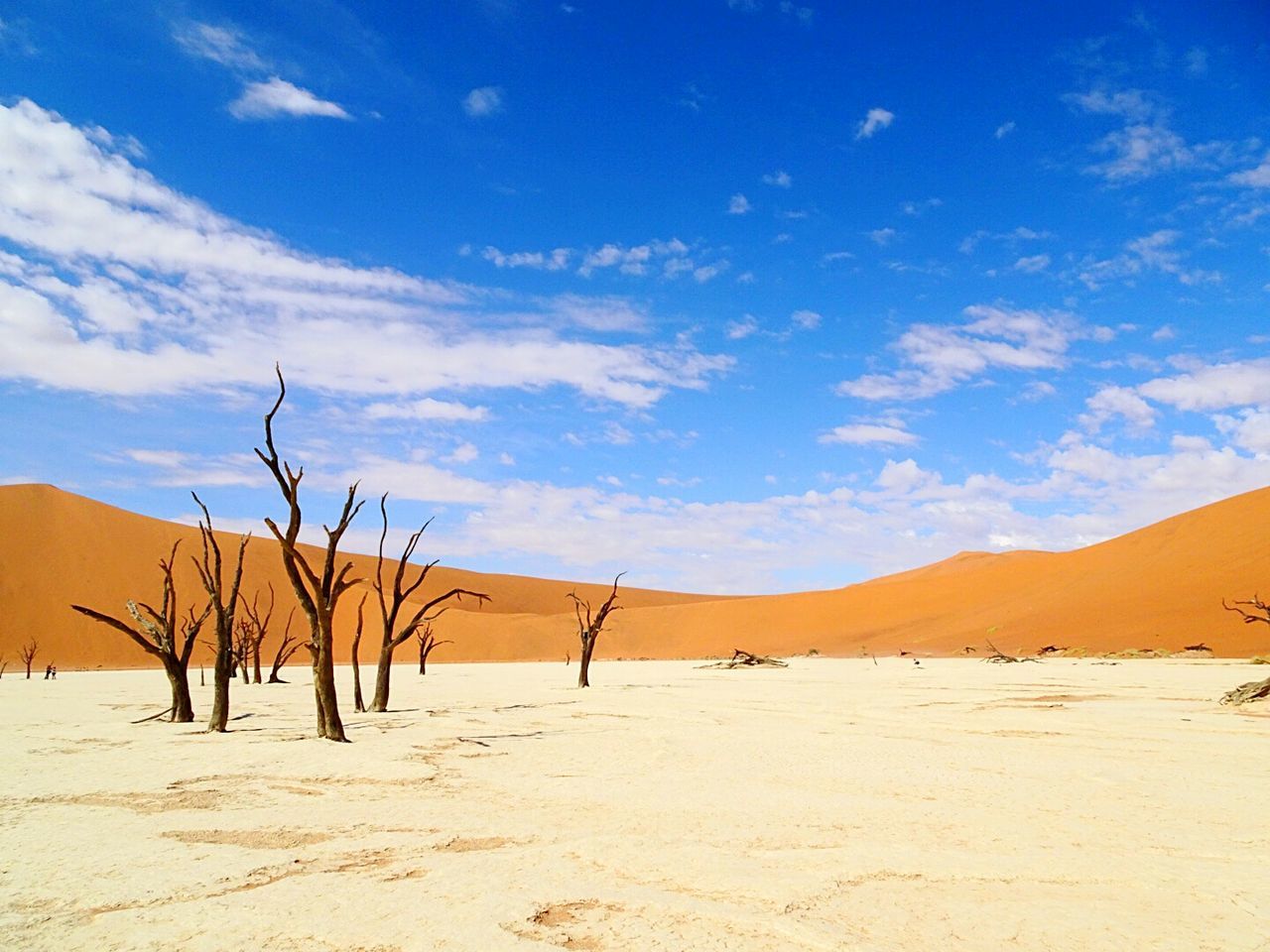 SCENIC VIEW OF SAND DUNES AGAINST SKY