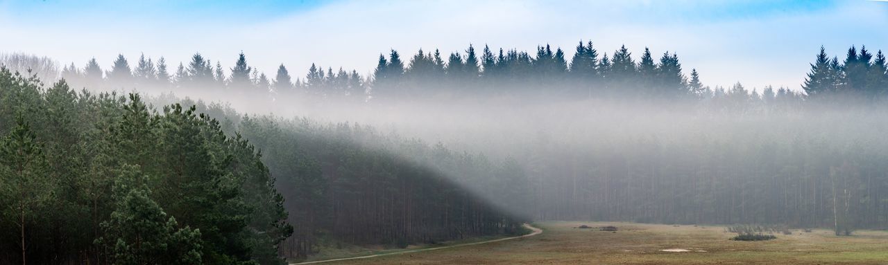 Panoramic shot of trees on land against sky