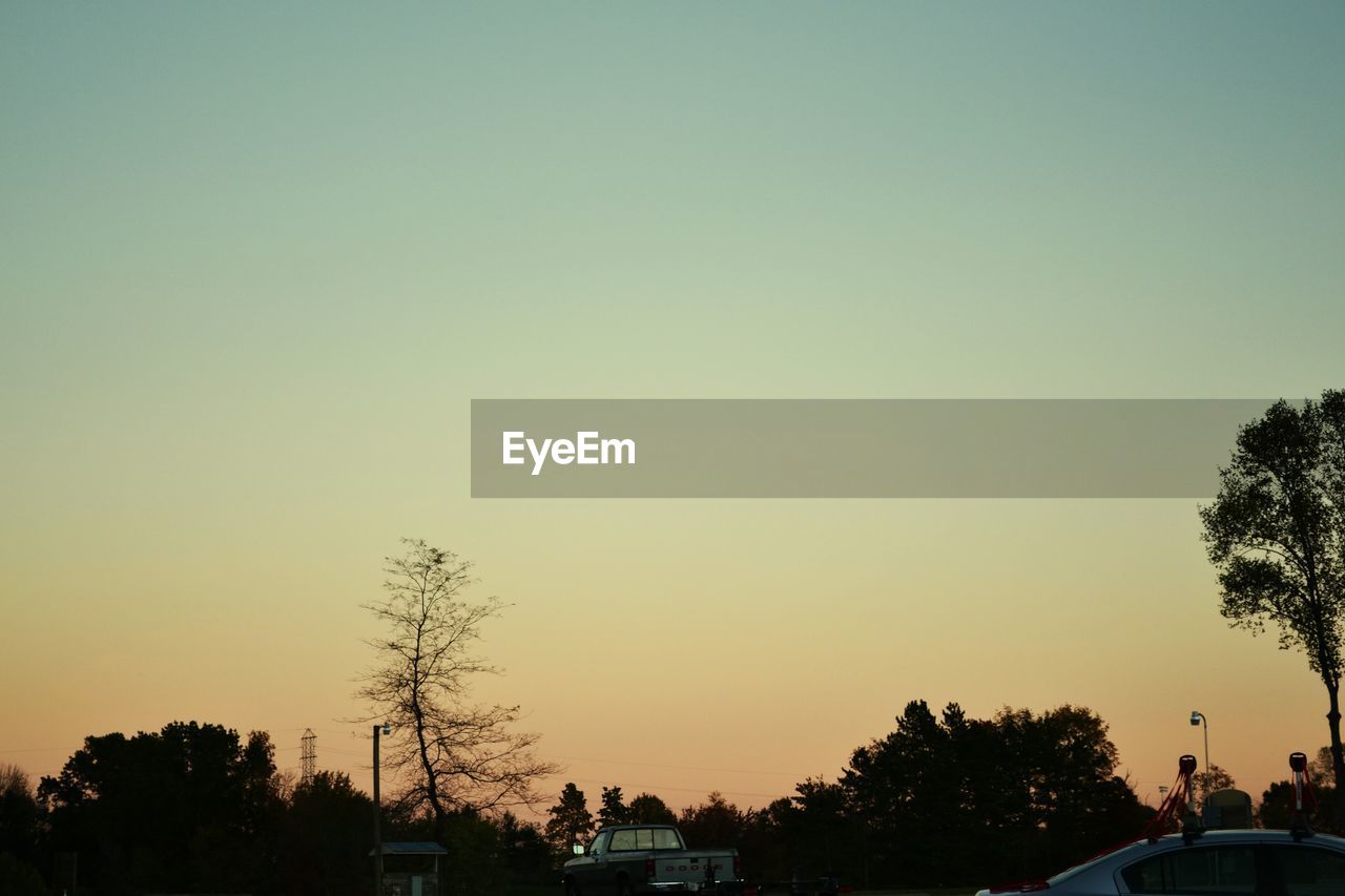 SILHOUETTE OF TREES AT SUNSET