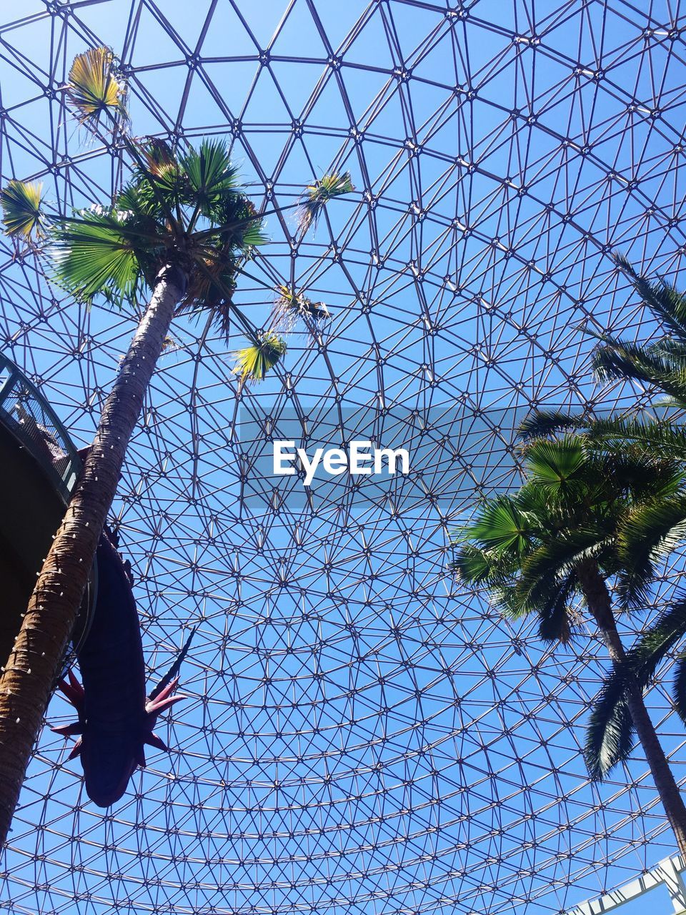 LOW ANGLE VIEW OF TREES AGAINST CLEAR BLUE SKY