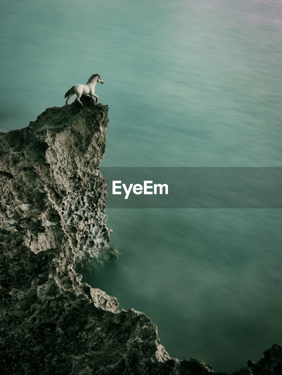 HIGH ANGLE VIEW OF BIRD PERCHING ON ROCK AGAINST SEA