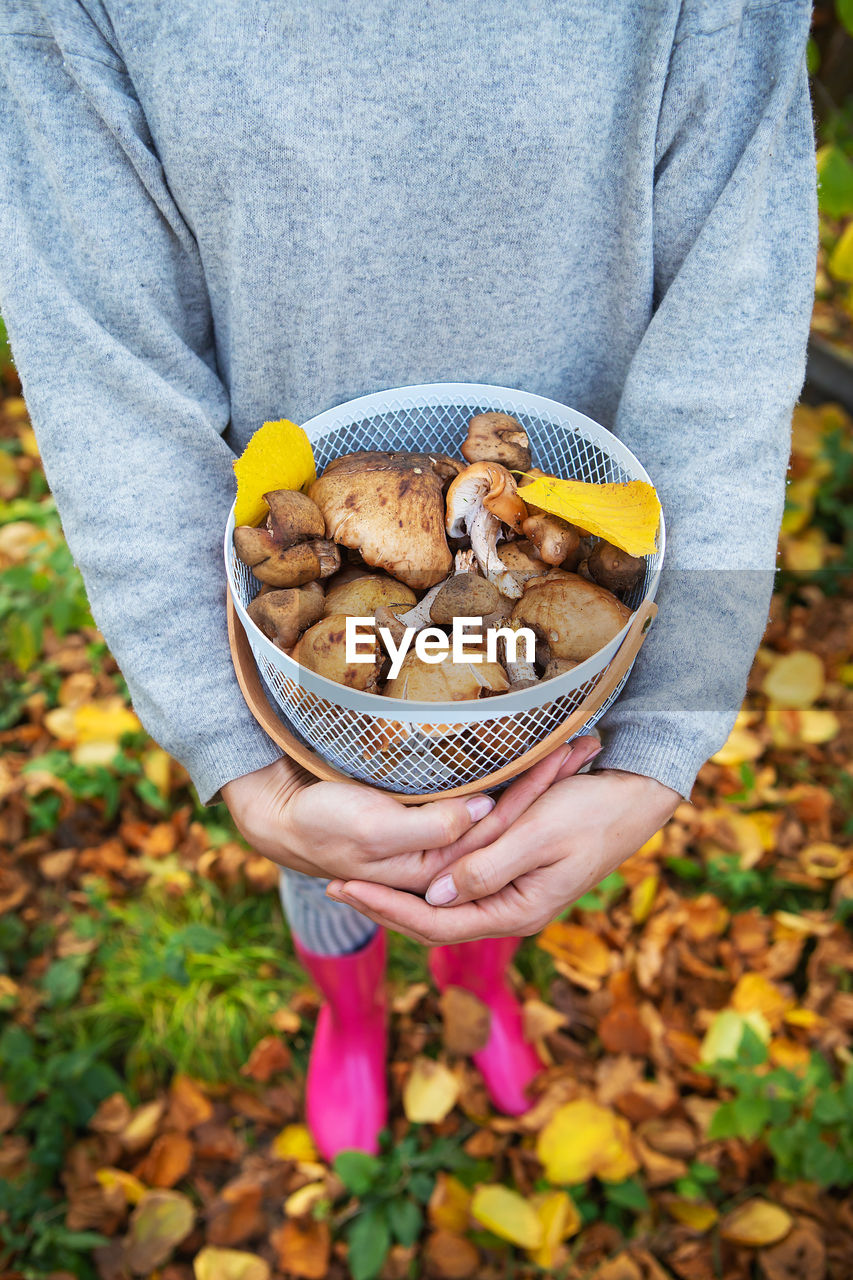 Low section of woman holding mushrooms in basket while standing on land