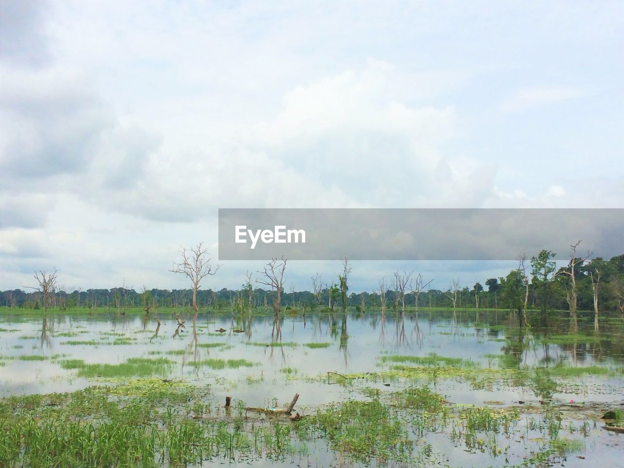 Scenic view of lake against sky