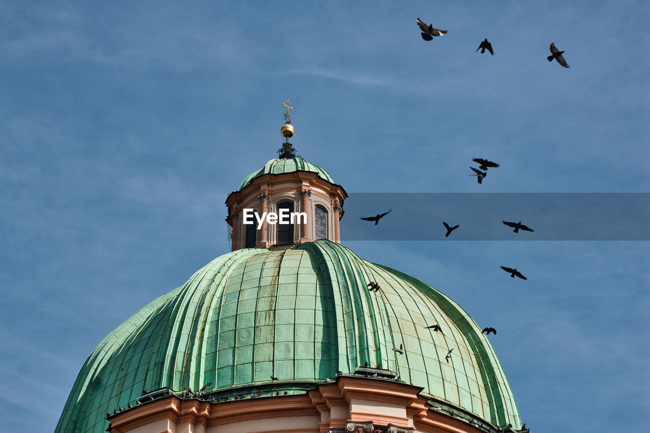 Prague tower cupola with birds flying silhouette pink light