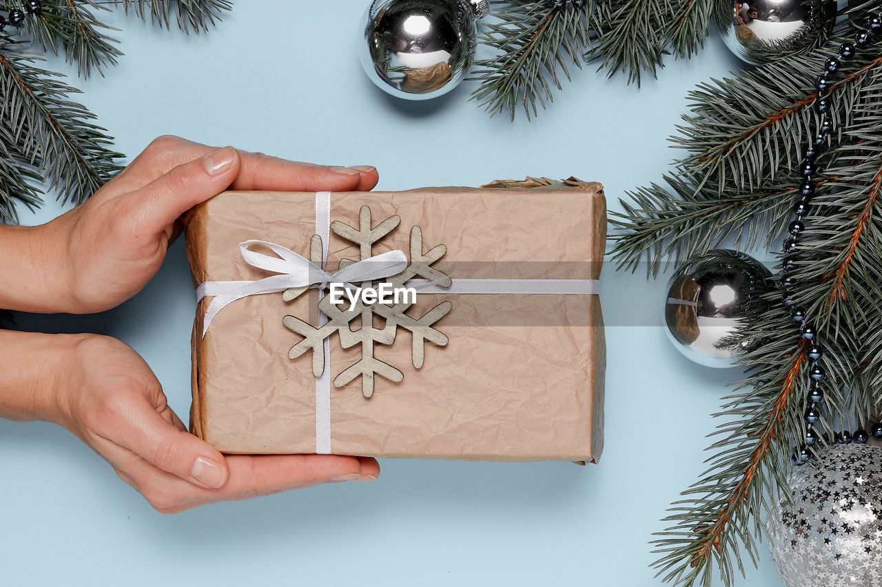 cropped hand of person holding christmas tree