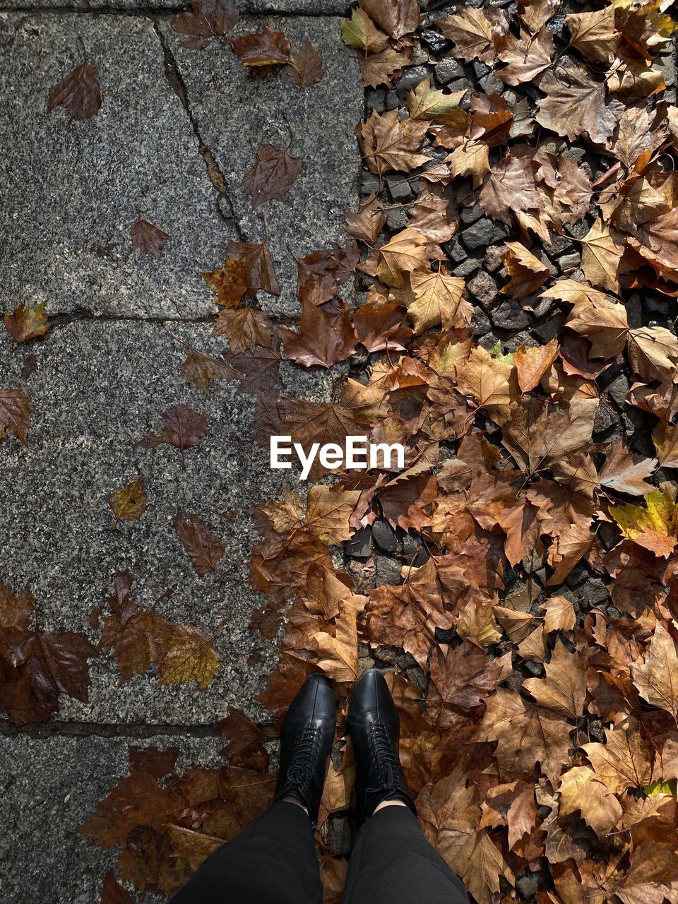 leaf, plant part, autumn, low section, human leg, one person, nature, shoe, dry, leaves, soil, day, high angle view, standing, falling, tree, lifestyles, personal perspective, outdoors, land, leisure activity, footpath, human limb, limb, wood, human foot, directly above, brown, adult, field, footwear, men, street, autumn collection, women