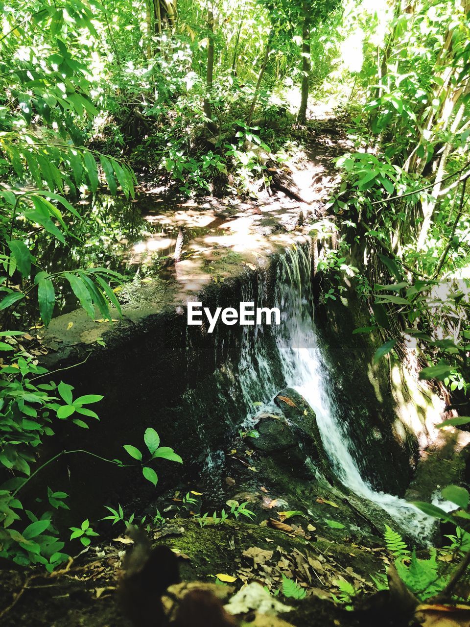 SCENIC VIEW OF WATERFALL