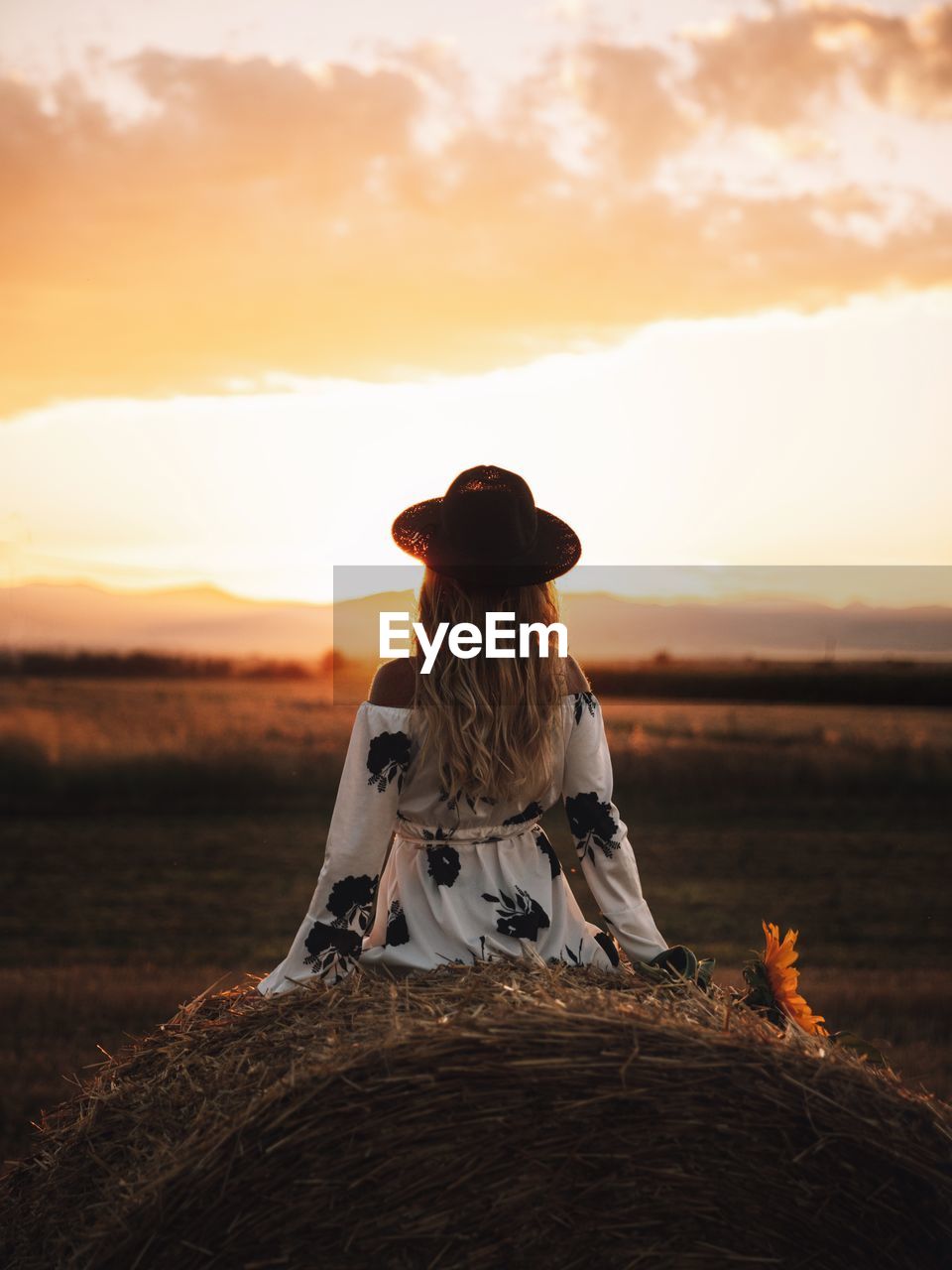 Rear view of woman sitting on field against sky during sunset