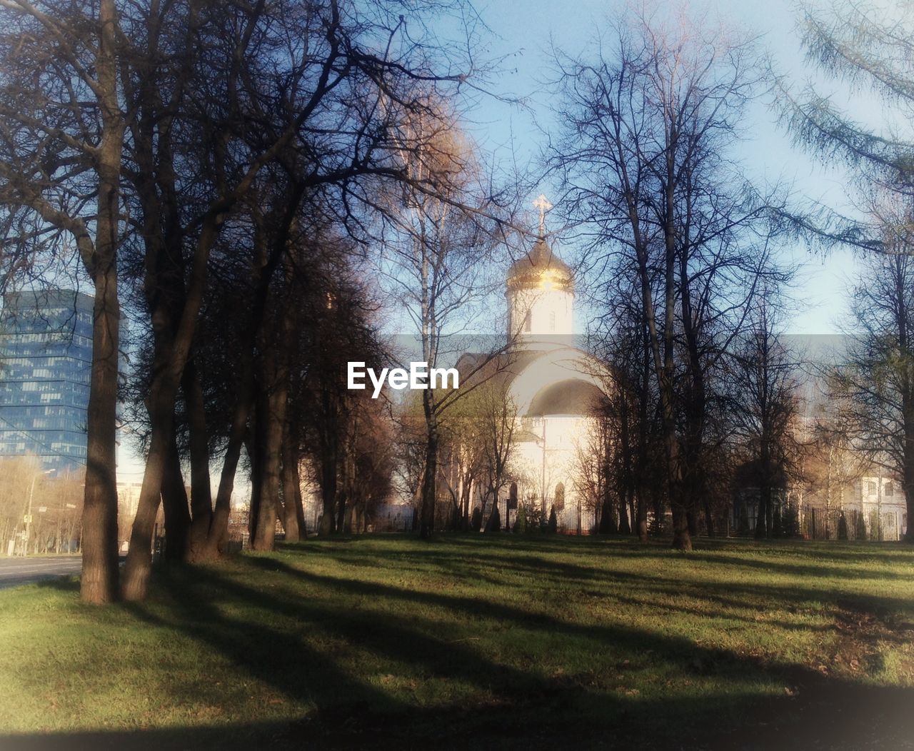 VIEW OF TREES AND BUILDINGS IN PARK