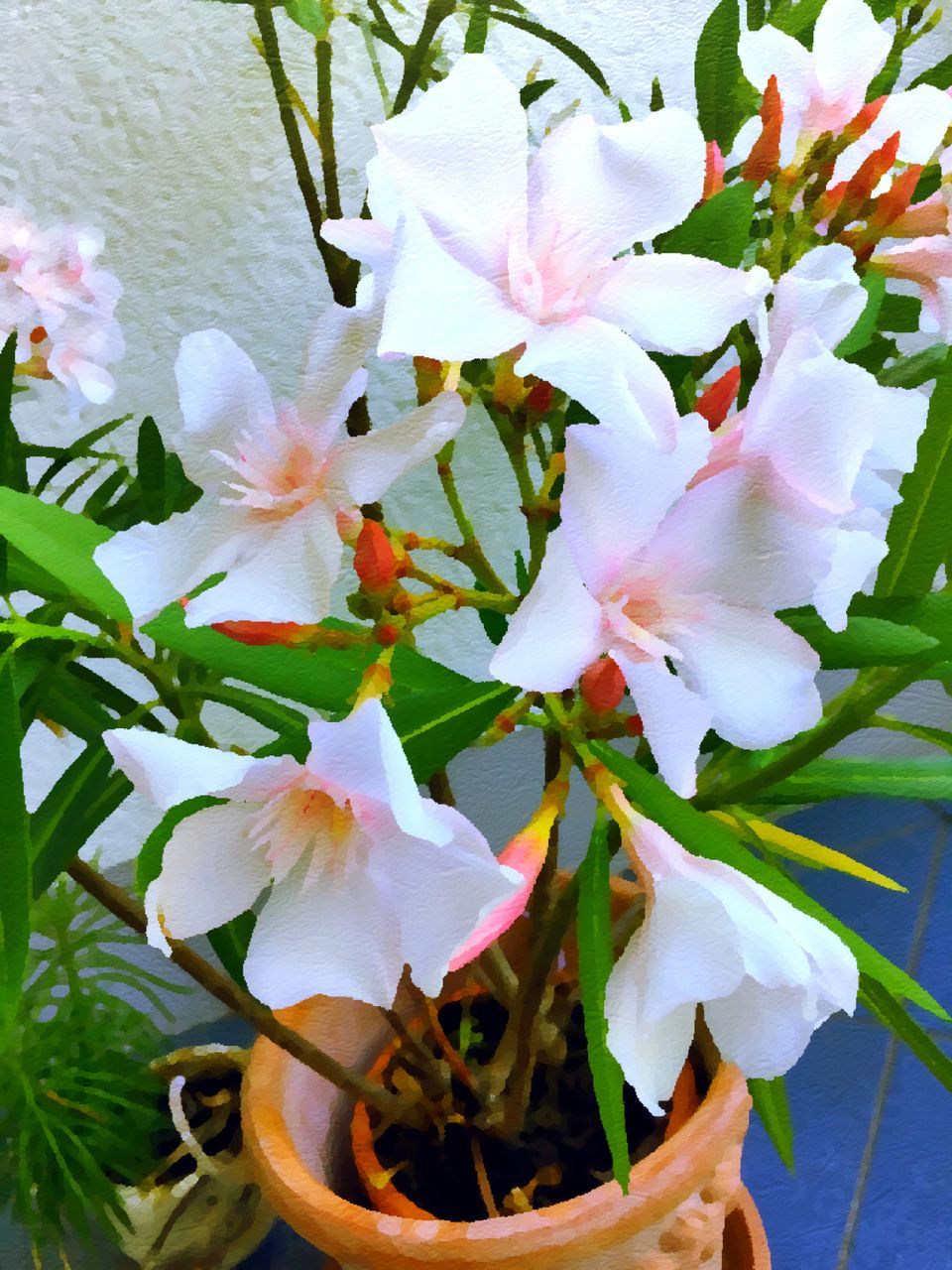 CLOSE-UP OF WHITE FLOWERS BLOOMING OUTDOORS