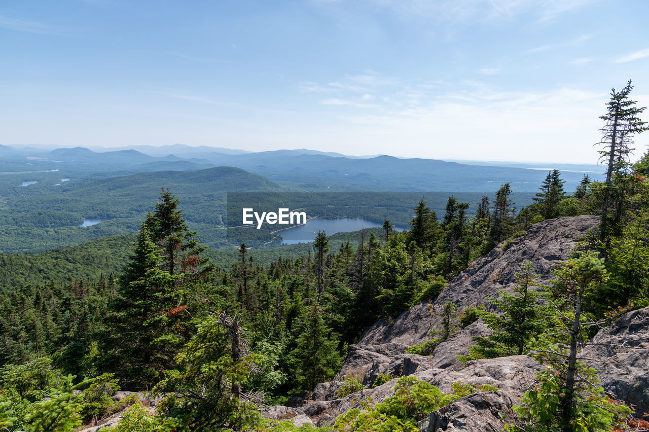 Scenic view of forest and mountains against sky