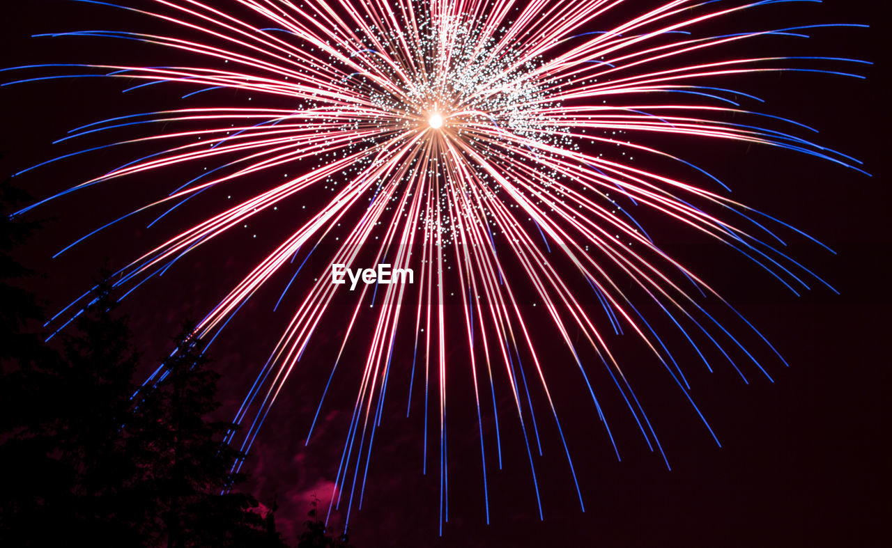 FIREWORK DISPLAY AT NIGHT