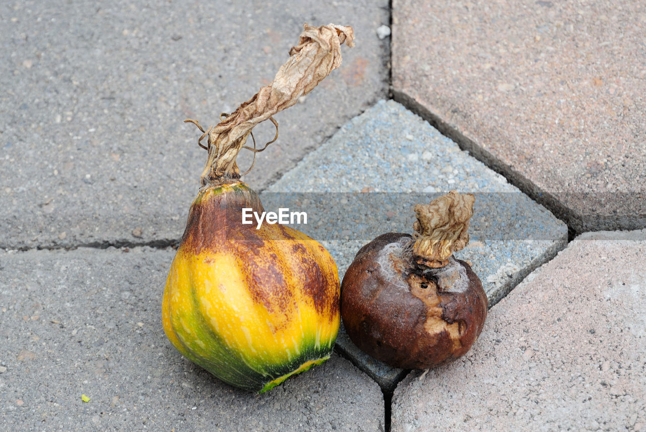 High angle view of rotten pumpkins on street