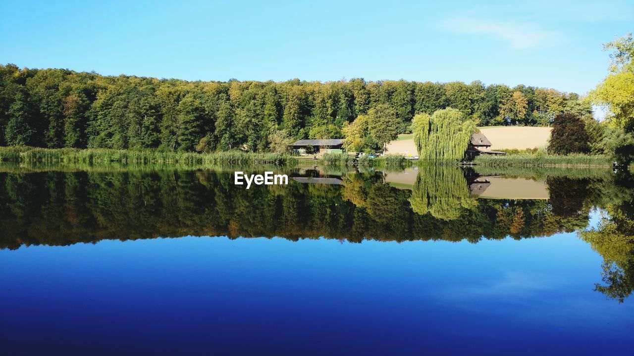 SCENIC VIEW OF LAKE AND TREES AGAINST SKY