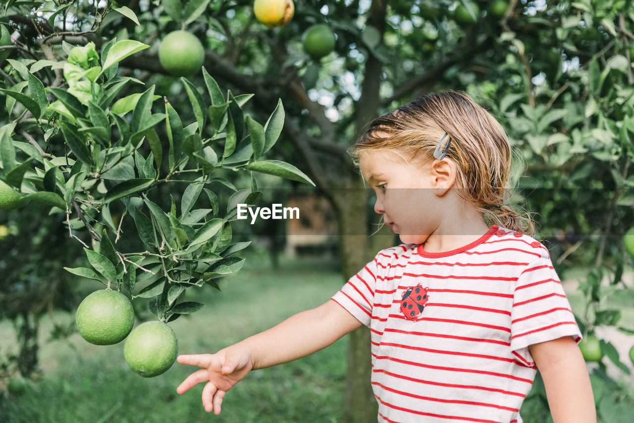 Girl standing by fruit tree in yard
