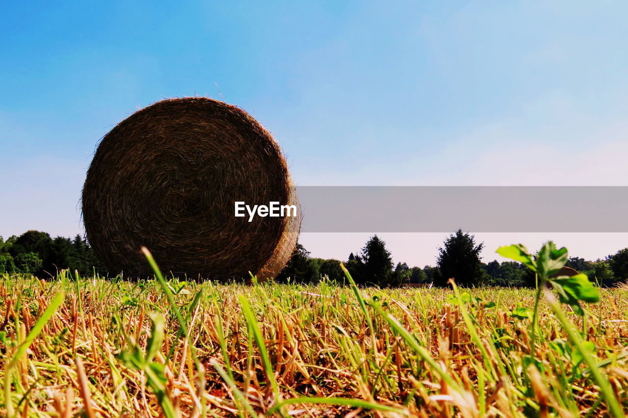 Hay bales on field against sky