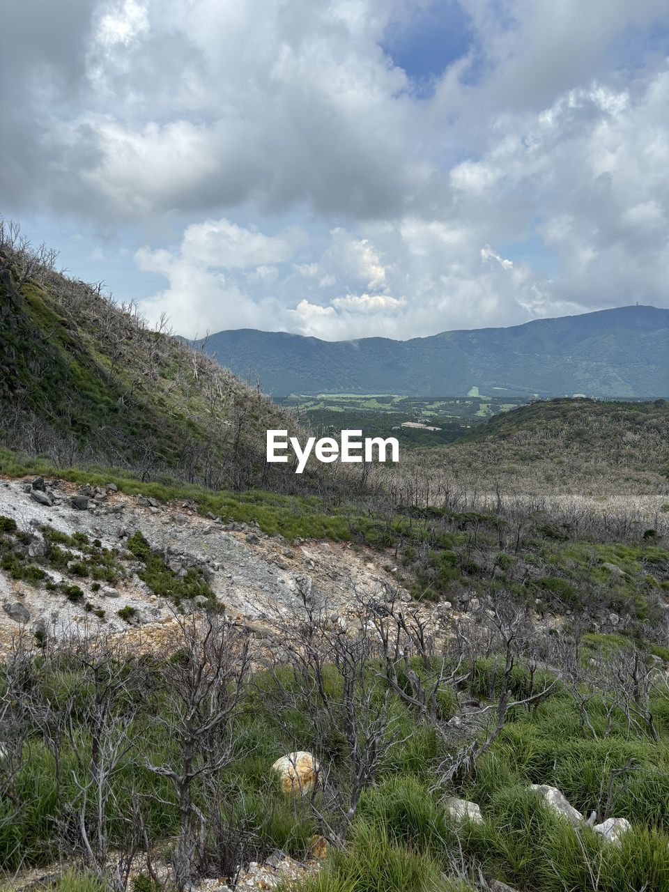 cloud, beauty in nature, nature, plant, mountain, tree, scenics - nature, land, sky, cliff, mountain range, ridge, no people, environment, day, outdoors, tranquility, forest, rock, non-urban scene, terrain, landscape, travel, travel destinations, tranquil scene, water, low angle view, adventure, pinaceae, pine tree, idyllic, tourism