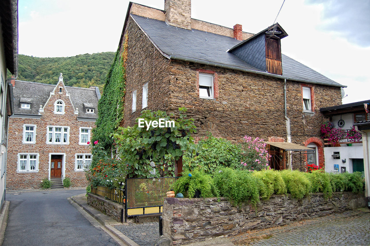 HOUSES AGAINST TREES