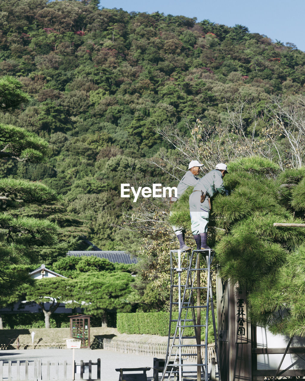 REAR VIEW OF MAN STANDING BY PLANTS