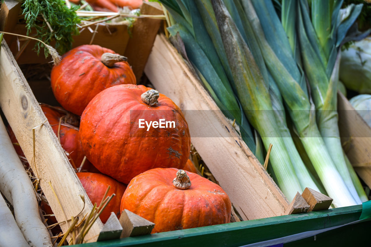 food and drink, food, vegetable, pumpkin, healthy eating, freshness, wellbeing, organic, agriculture, orange color, no people, nature, squash - vegetable, autumn, market, container, large group of objects, plant, high angle view, crate, abundance, variation, raw food, day, produce, harvesting, box, squash, crop, outdoors, retail, onion, still life, celebration, farm, farmer's market