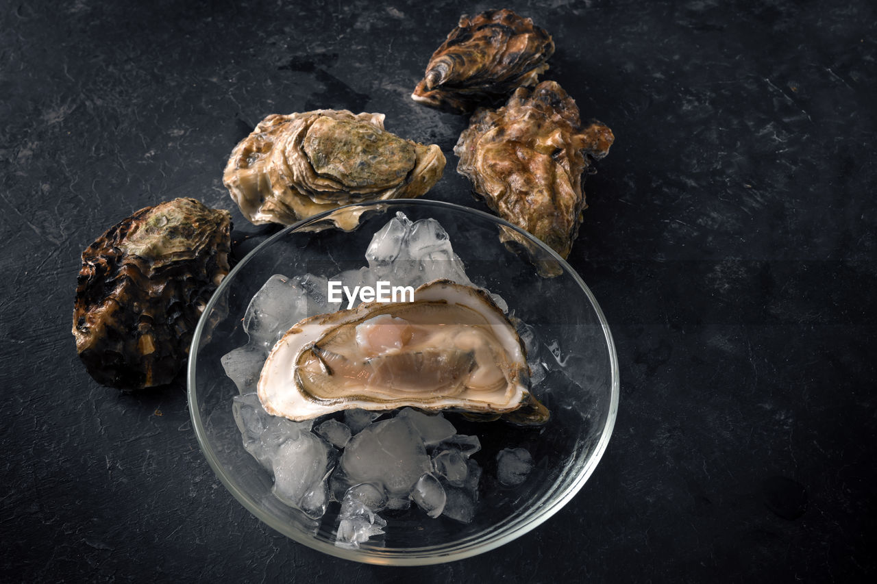 oyster, food and drink, food, seafood, freshness, animal, shellfish, healthy eating, indoors, no people, wellbeing, high angle view, studio shot, still life, mussel, black background, directly above