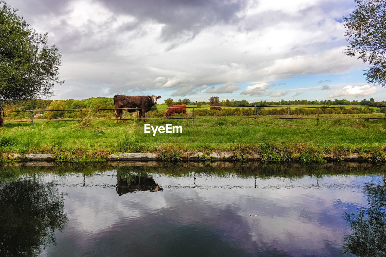 SCENIC VIEW OF LAKE