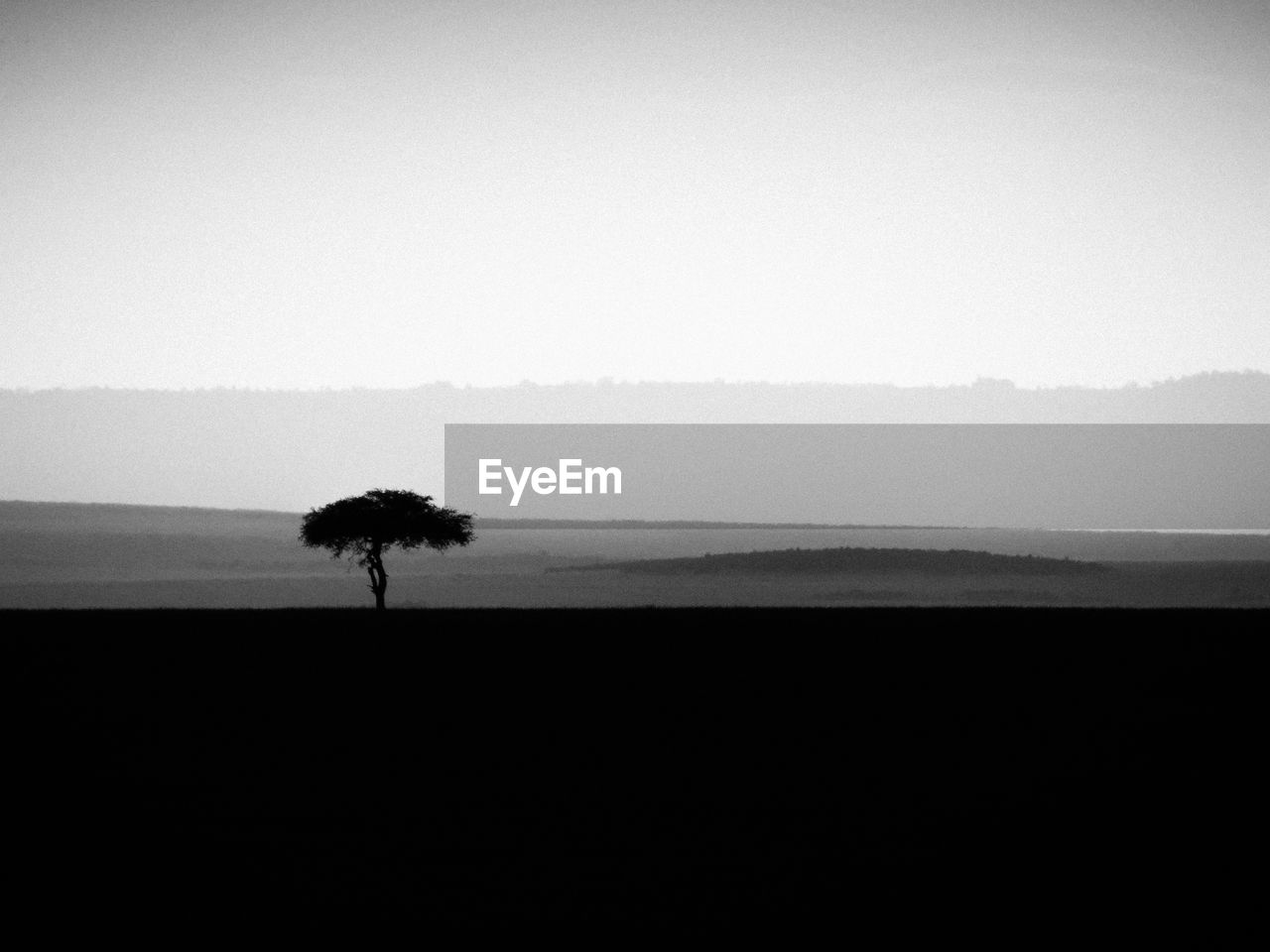 Silhouette of tree on grassland against clear sky