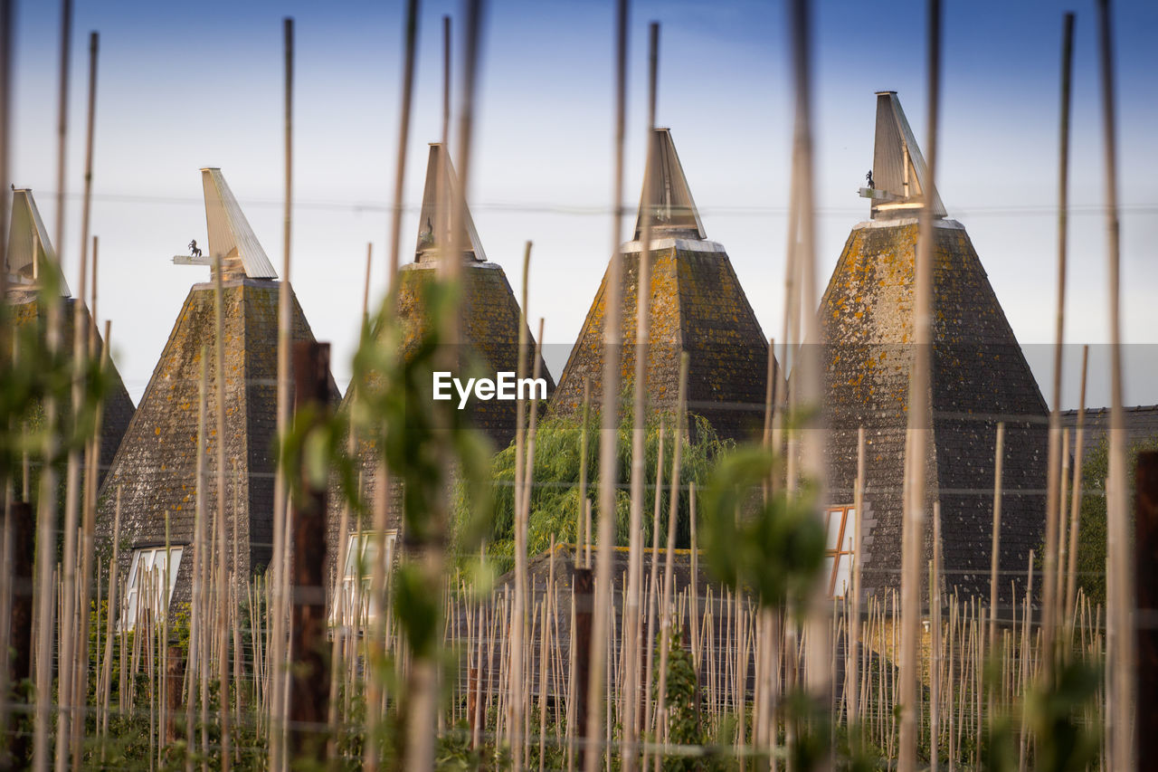 LOW ANGLE VIEW OF WINE BOTTLES