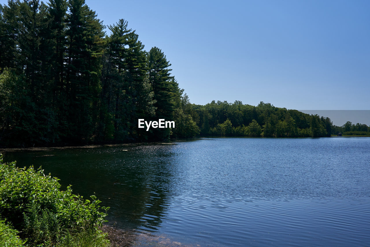 Scenic view of lake in forest against clear sky