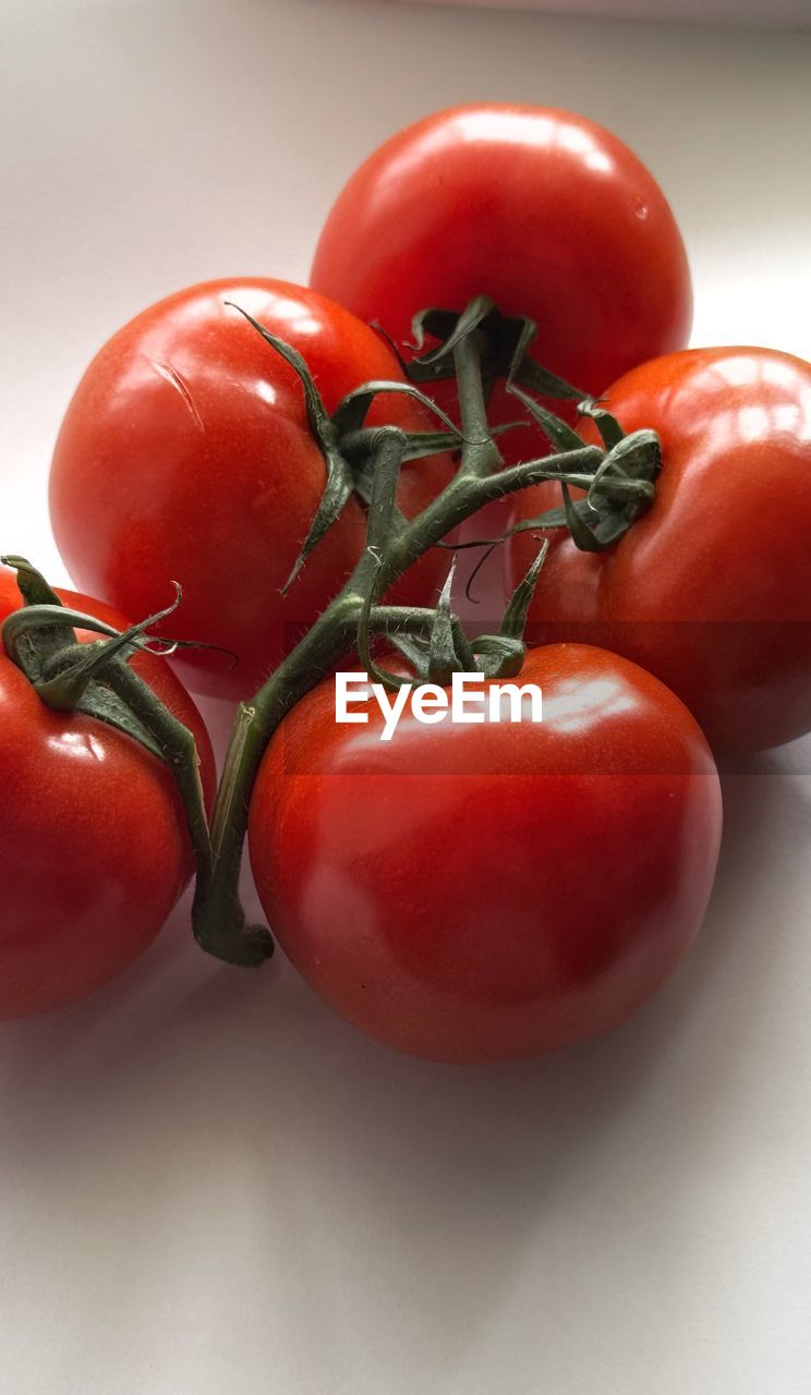 food, food and drink, healthy eating, tomato, freshness, fruit, wellbeing, red, vegetable, plant, produce, indoors, no people, group of objects, close-up, studio shot, raw food, ripe, still life, organic, nature, juicy