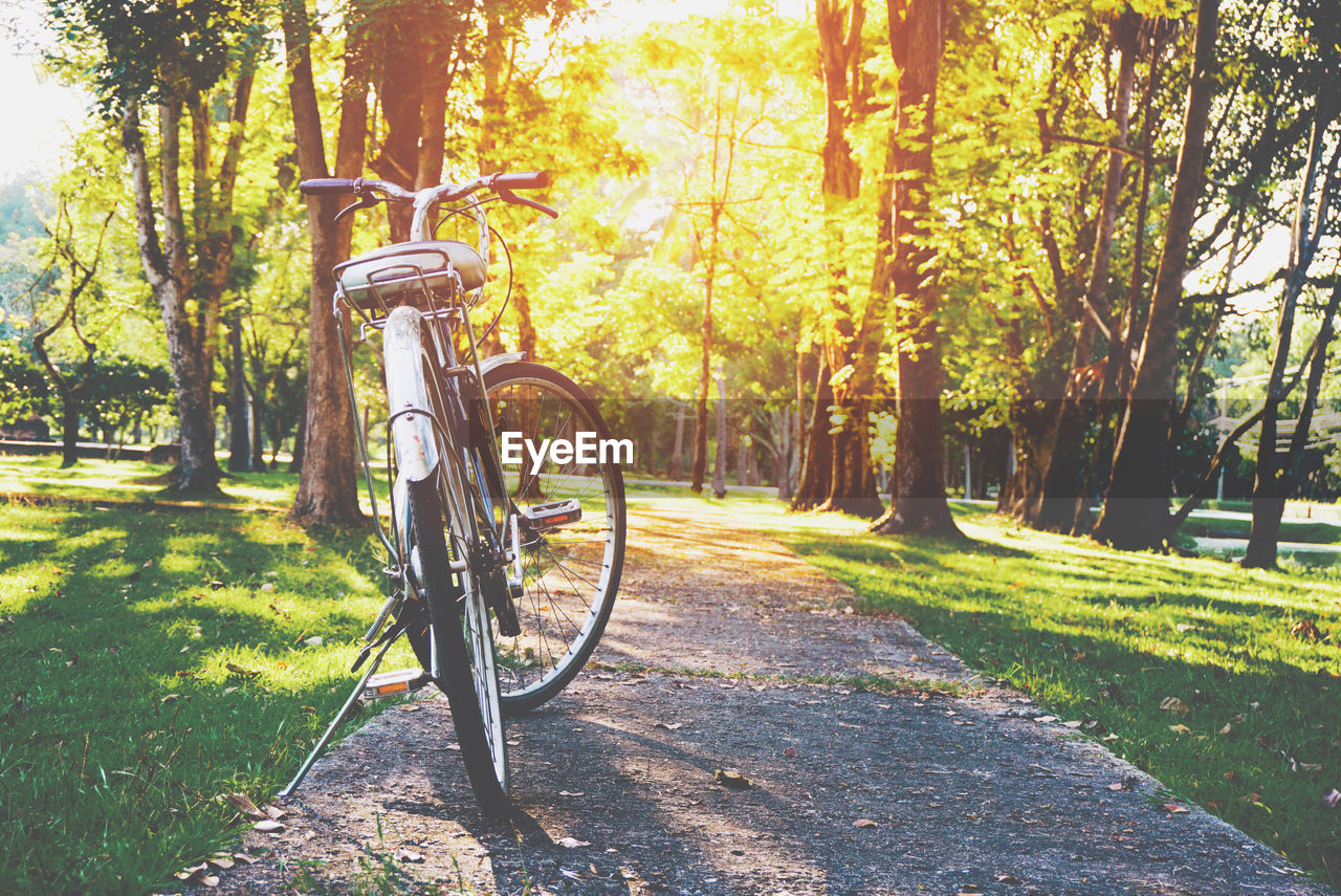 Old bicycle in the park with sunrise background