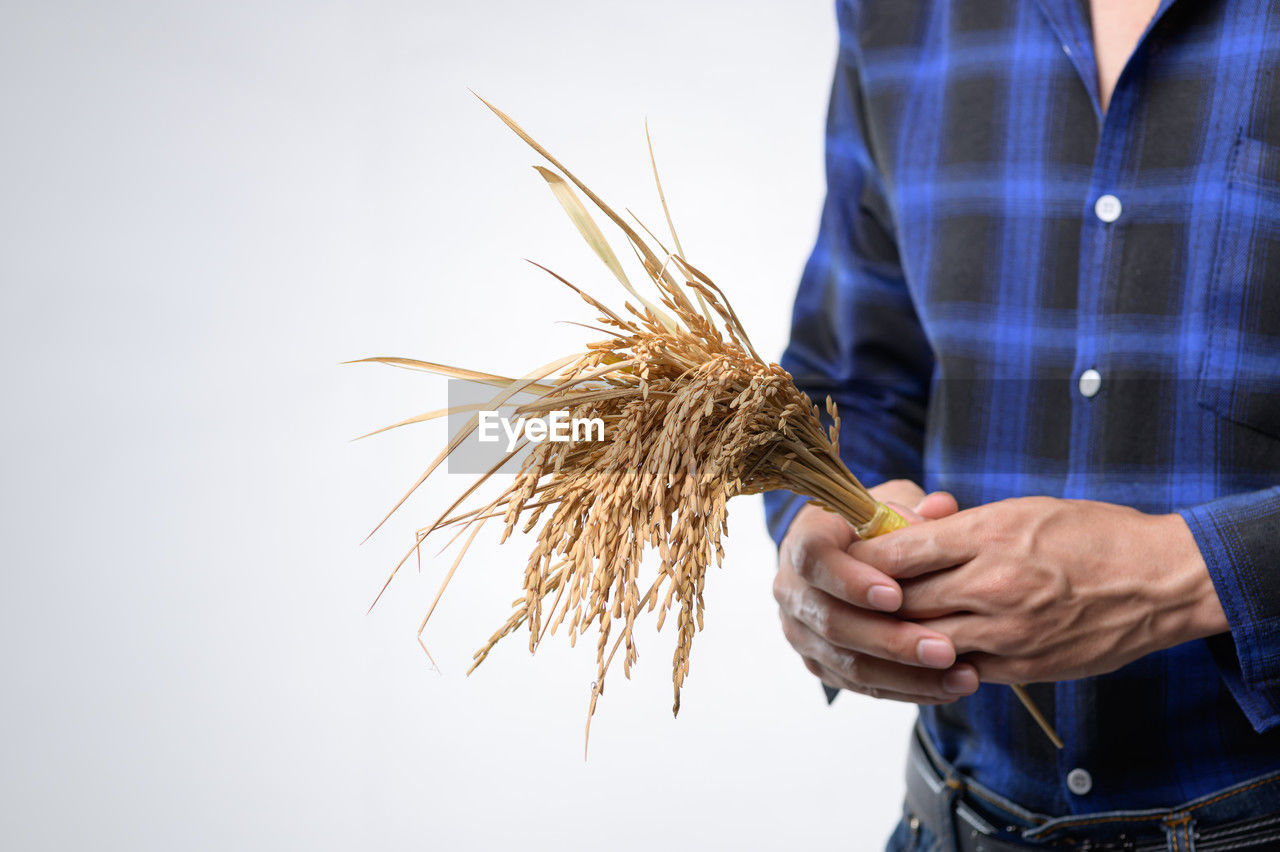 midsection of man holding plant