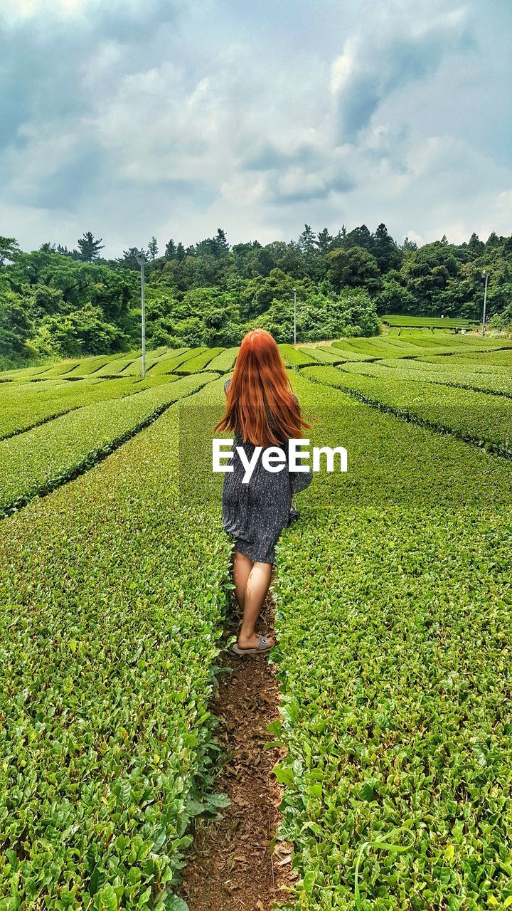 Rear view of woman walking on field