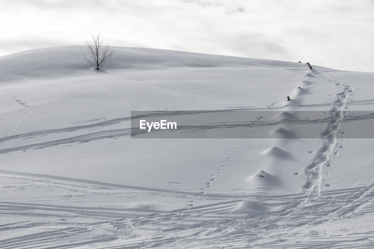 SNOW COVERED LANDSCAPE AGAINST SKY