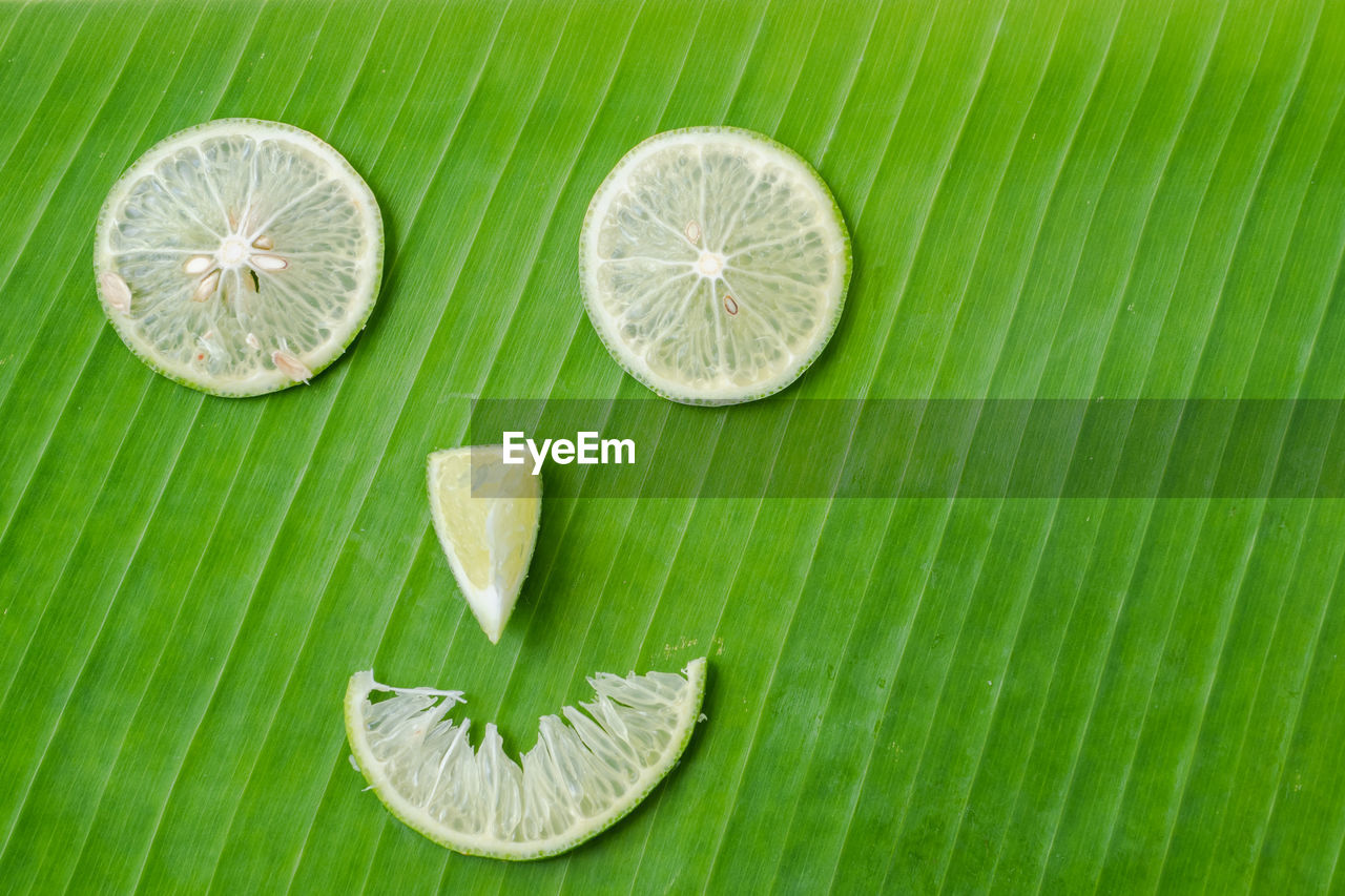 DIRECTLY ABOVE SHOT OF COCONUT PALM LEAVES ON LEAF