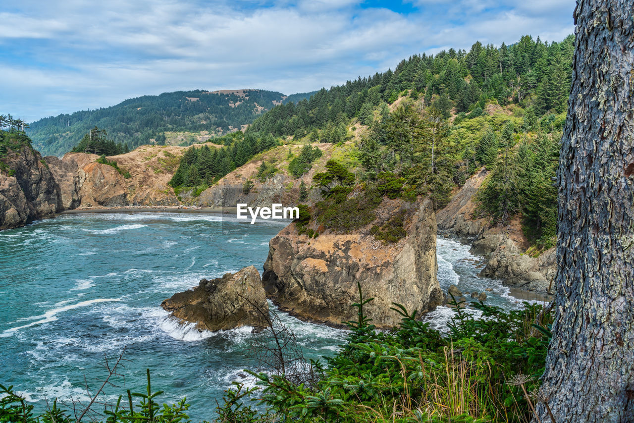 A view of the scenic shoreline near arch rock state park in oregon state.