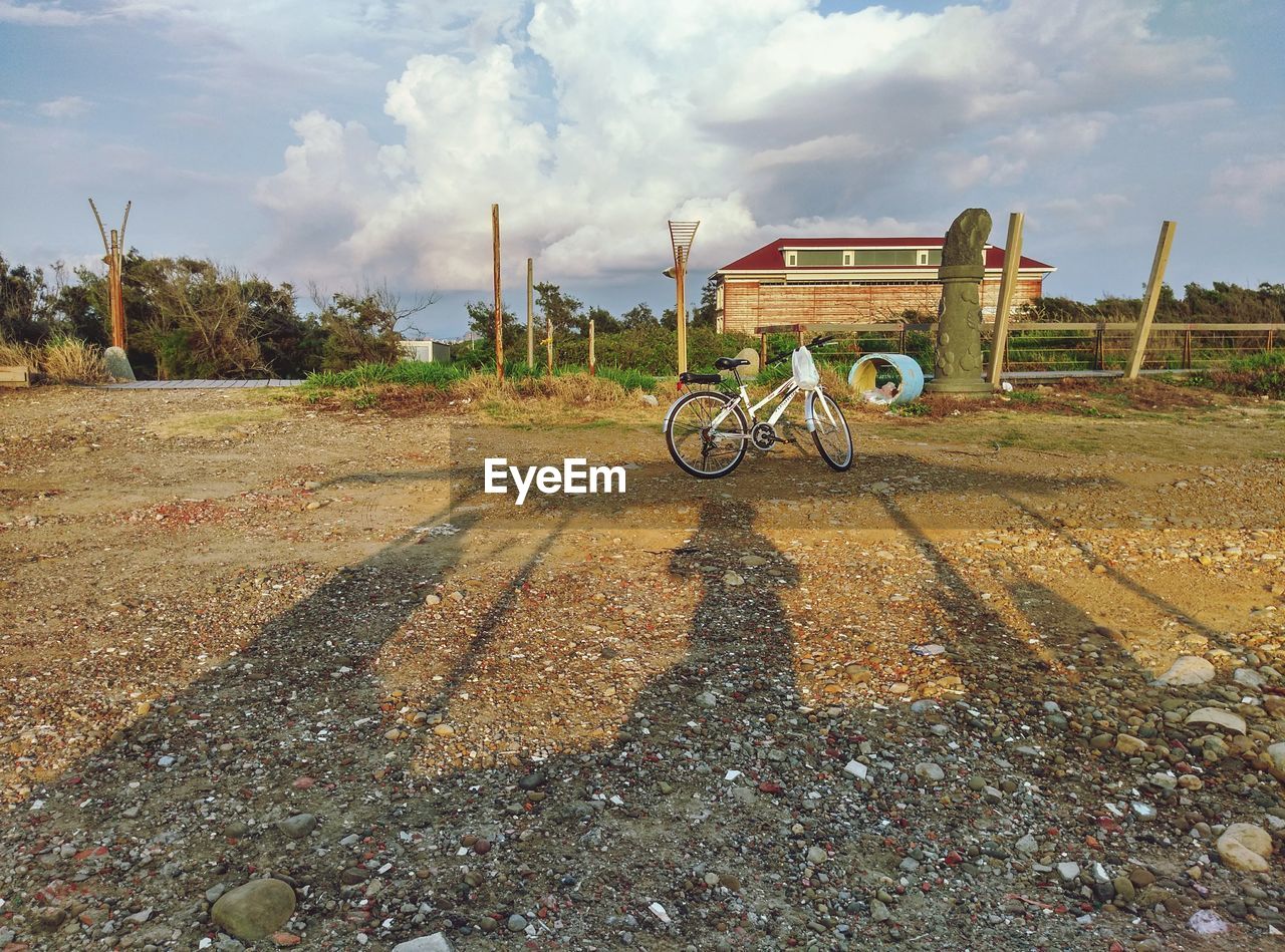 BICYCLE AGAINST TREES