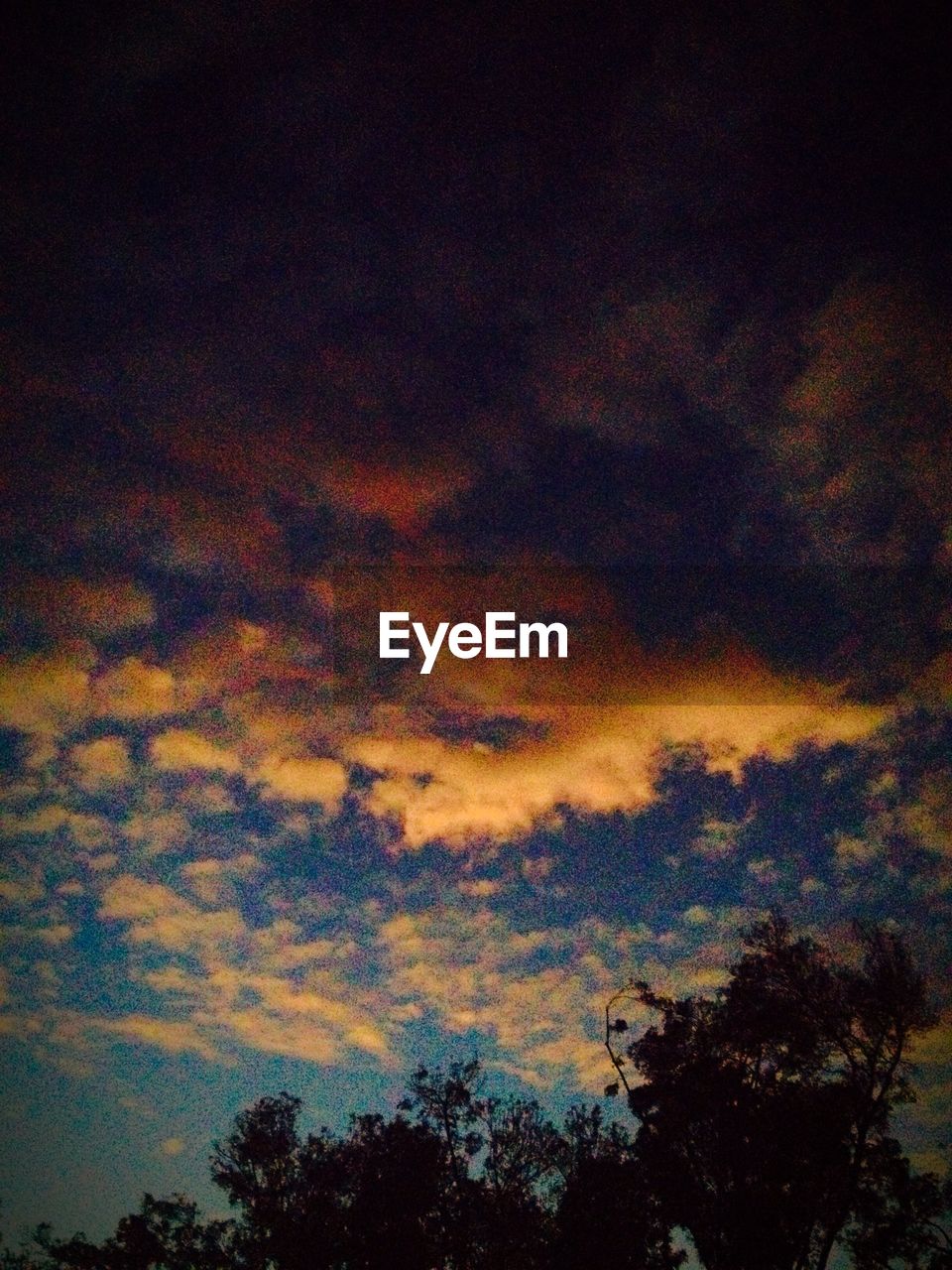 LOW ANGLE VIEW OF TREE AGAINST DRAMATIC SKY