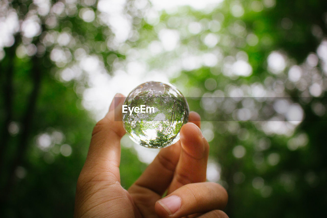 Close-up of hand holding crystal ball against trees