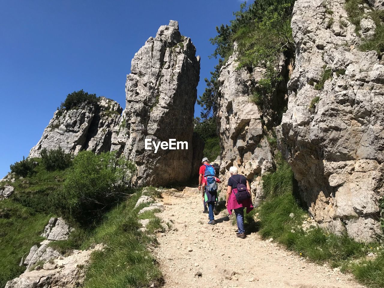 Rear view of people walking on mountain