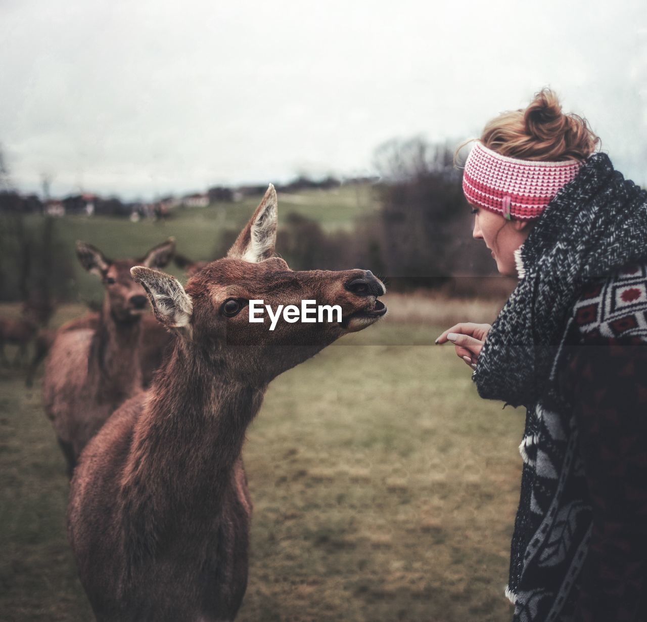 Woman looking at deer on field against sky